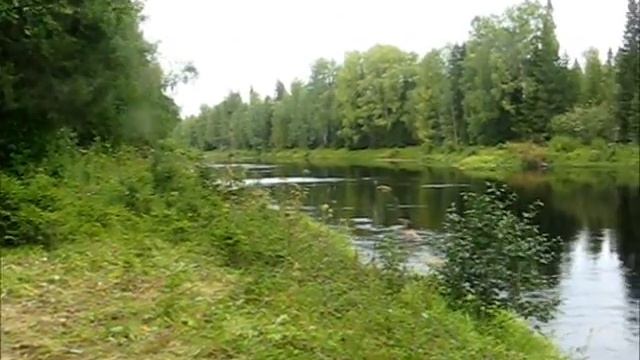 На байдарке по р Ваймуга Сийские озёра в конце августа 2015г смотреть онлайн