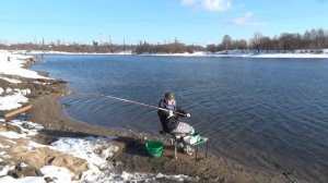 20. Баскетбэйт: новая страничка в фидере и карпфишинге. "All-in Fishing". Вып. 20.