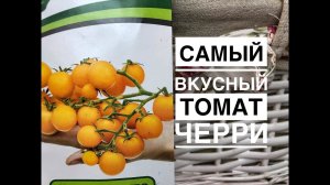 Дачные сезоны с Мариной Рыкалиной. Самый вкусный черри.