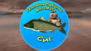 Как поймать Сига на Братском водохранилище [NEW] | Реальная Рыбалка