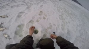 Зимняя рыбалка,ловля леща на Томи в Казюлино,Томская область