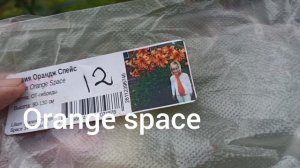 Лилии ОТ-ГИБРИДЫ, мои новинки: Компетишн, Орандж спейс.