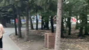 Г. Липецк,парк «Победы» юный скрипач..