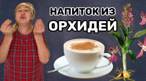 САЛЕП: напиток турецкий из диких орхидей. Самый вкусный зимний молочный кисель.