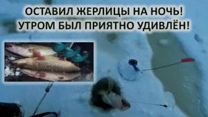 Рыбалка. Оставил жерлицы на ночь и был приятно удивлён. Зимняя рыбалка на жерлицы.