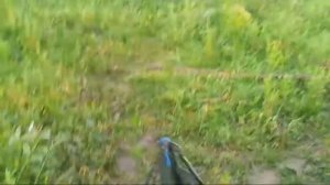 рыбалка на леща МАРИИНСК РЕКА КИЯ -чуть не утащил спиннинг