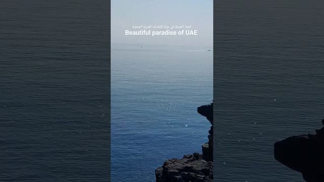 beautiful paradise of fujairah,UAE #fujairah #jaziratbadiyah #fujairahuae #fujairahbeach #sea