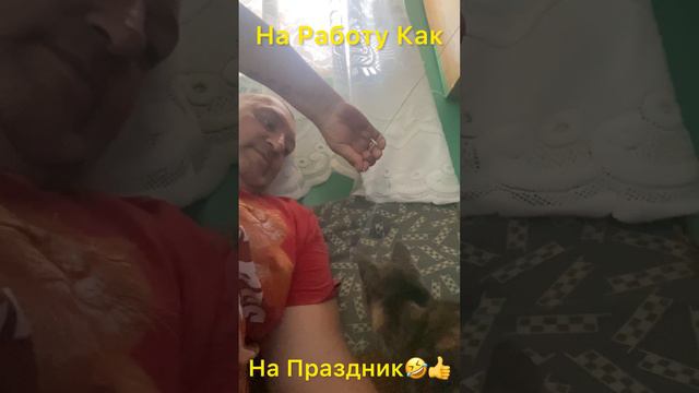 На Работе Игрушка Появилась 😂👍