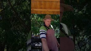 Электровыходные.Малахов Курган и Лукоморье