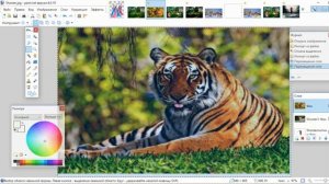 Графика  Paint Net и Видео Шоу Вебинар