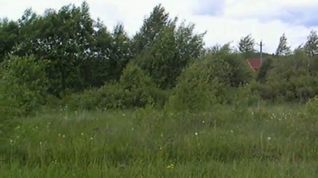 10 соток.avi смотреть онлайн