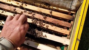 Своя вощина. Стоит ли заморачиваться?