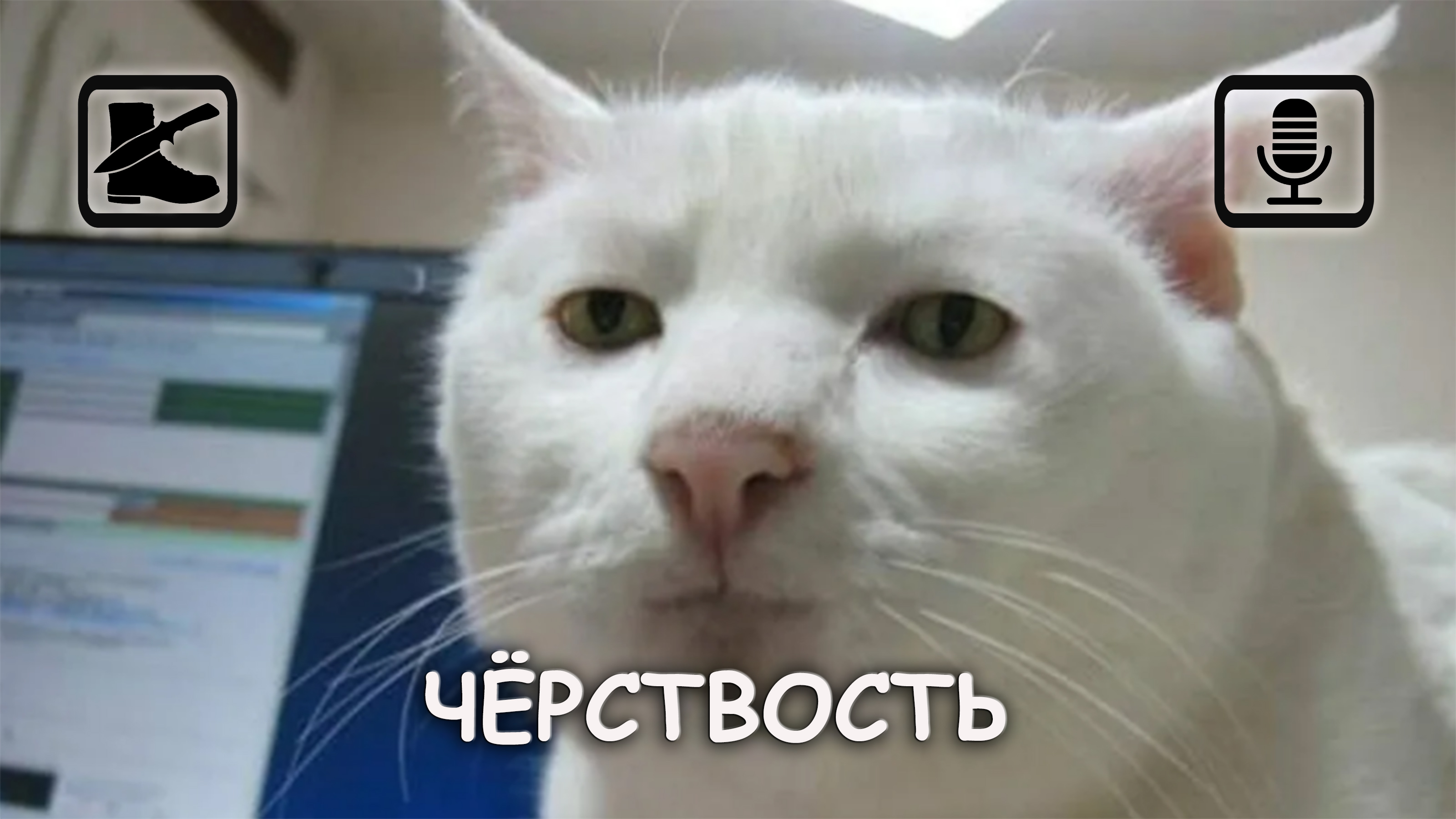 Размышлизм: Наша чёрствость и как с этим бороться