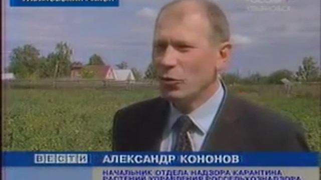 Золотистая картофельная нематода