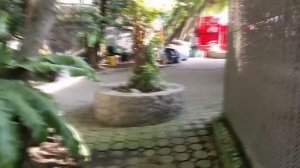 Паттайя. Экскурсия на крокодиловую ферму и цены на изделия из крокодилов