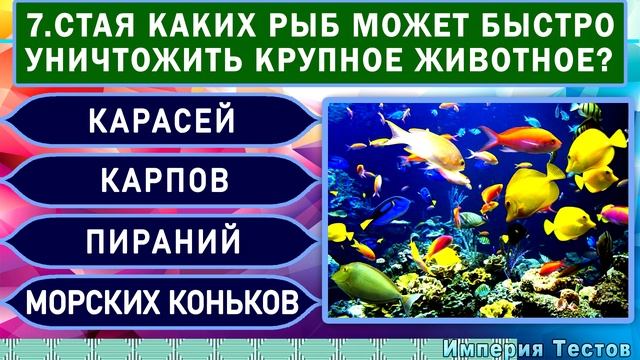 ТЫ УМНЕЕ ПЯТИКЛАССНИКА? – выпуск 4. УЗНАЙ НАСКОЛЬКО ТЫ ЭРУДИРОВАН  Как СТАТЬ УМНЕЕ. Империя Тестов