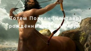 Тотем Полкан(Кентавр) рождённые 24 сентября