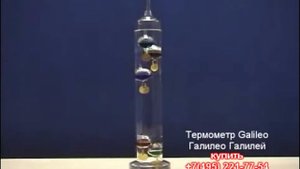 Галилео Галилей термометр kupitefal ru