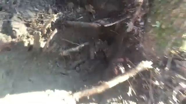 Metal Detecting War of 1812 buttons смотреть онлайн