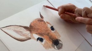 Как нарисовать животных. Рисуем оленёнка. Для начинающих. Пошагово. Цветными карандашами.