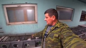 СЕРЕБРИСТЫЙ КРОЛИК, МОЙ ОПЫТ!