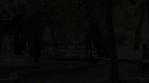 Снова Новочеркасск зажигает огни Олег Миронов