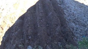 ПОСАДКА КАРТОФЕЛЯ МОТОБЛОКОМ ПОД ОКУЧНИКИ, ЛЁГКИЙ СПОСОБ ПОСАДИТЬ КАРТОШКУ