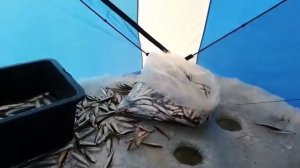 Сахалин озеро Невское