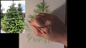 Как нарисовать елку акварелью быстро. How to draw a Cristmas tree paints