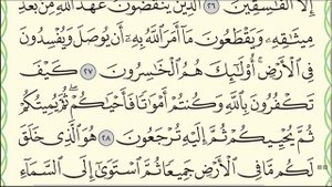 Сура "Аль-Бакара" № 2. Аяты 27-29. #коран #намаз #хадис #сура