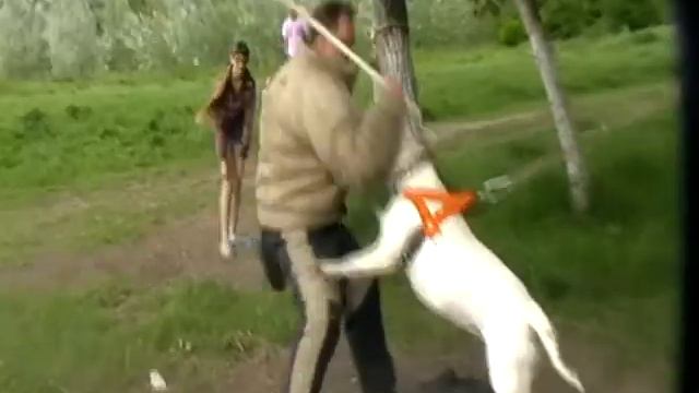 На привязи