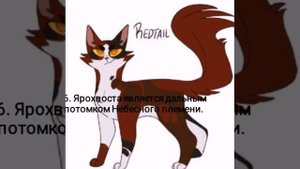 Топ 10 фактов о Ярохвосте |Факты Коты - Воители|