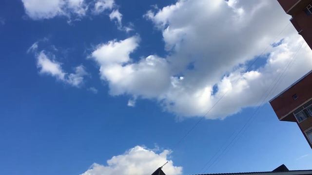 Самый обычный день во время карантина смотреть онлайн