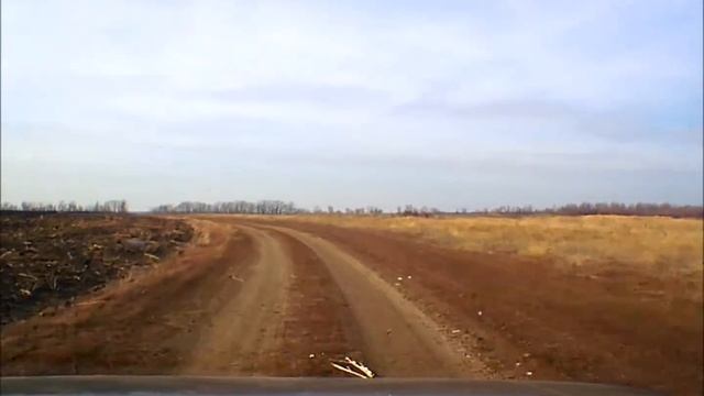 Самойловка 2019.Ездили за грибами"Синяя ножка" смотреть онлайн