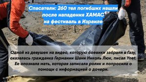 Спасатели: 260 тел погибших нашли после нападения ХАМАС на фестиваль в Израиле