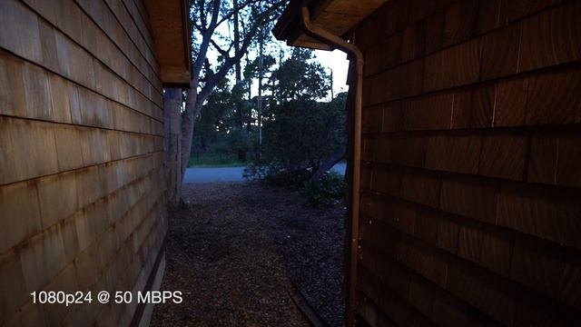 Sony A7 III 1080p Video Review смотреть онлайн