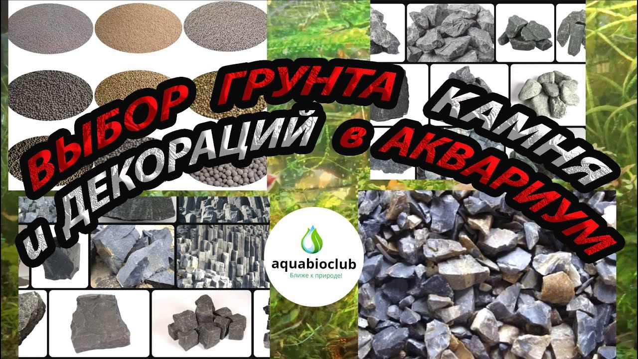 Выбор грунта, камней и декораций в аквариум. Уход, обслуживание  и лайфхаки с грунтом и камням. смотреть онлайн