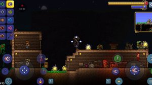 все йо йо в террарии.