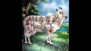 Kamadhenu Mahamantra - Камадхену Маха-мантра, Prema Vardhana das