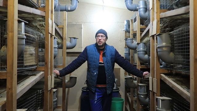 Маленькие крольчата. Что и когда делать!