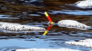 Рыбалка на удочку в апреле. Ловля плотвы весной на поплавок