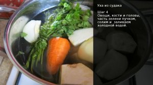 Уха из судака . Рецепт от шеф повара Максима Григорьева