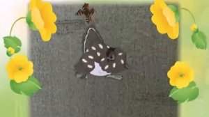 куры и петухи сен санс