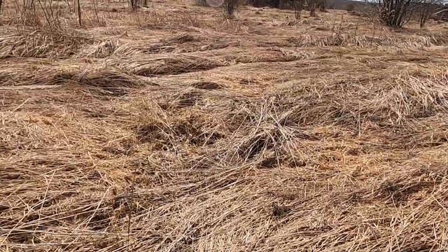 Металлокоп 2021 28 апреля смотреть онлайн