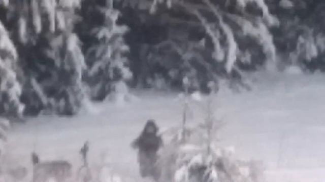 Лёгкое затишье перед пробегом. смотреть онлайн