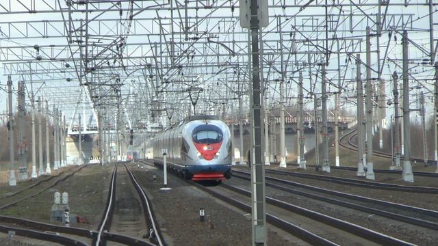 Сапсан ЭВС1-14 смотреть онлайн