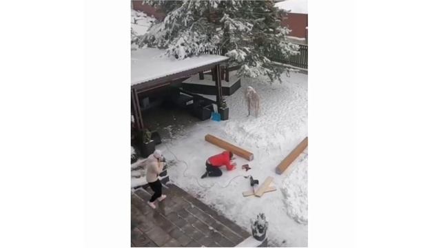 Жена - это лучший помощник смотреть онлайн