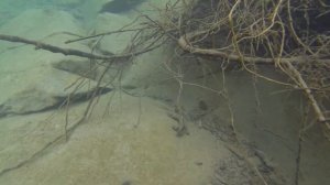 Подводная видео съёмка река Нечепсухо