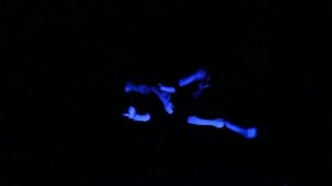 Санкт-Петербургский театр пластики рук "HAND MADE". Видео 3