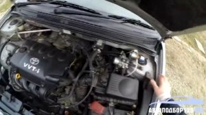 Отзыв Сергея о подборе  Toyota Corolla, 2003 г, 1 5 АТ  310 т р  автомобиль уеха 1